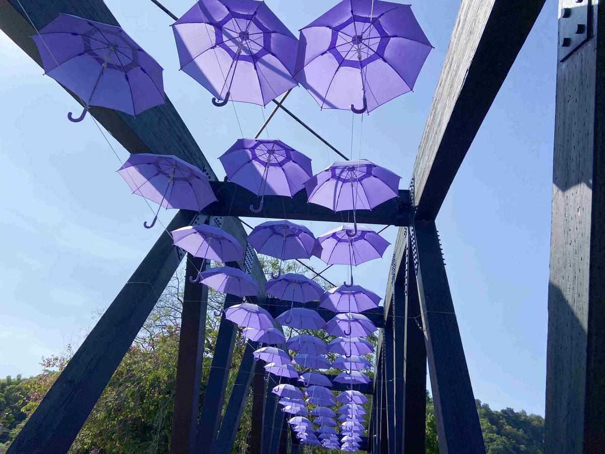 紫見石崗 (7).jpg 紫見石崗 (7).jpg