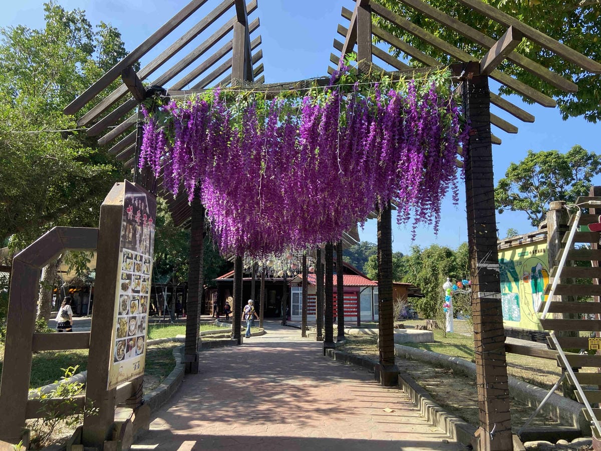 紫見石崗 (13).jpg 紫見石崗 (13).jpg