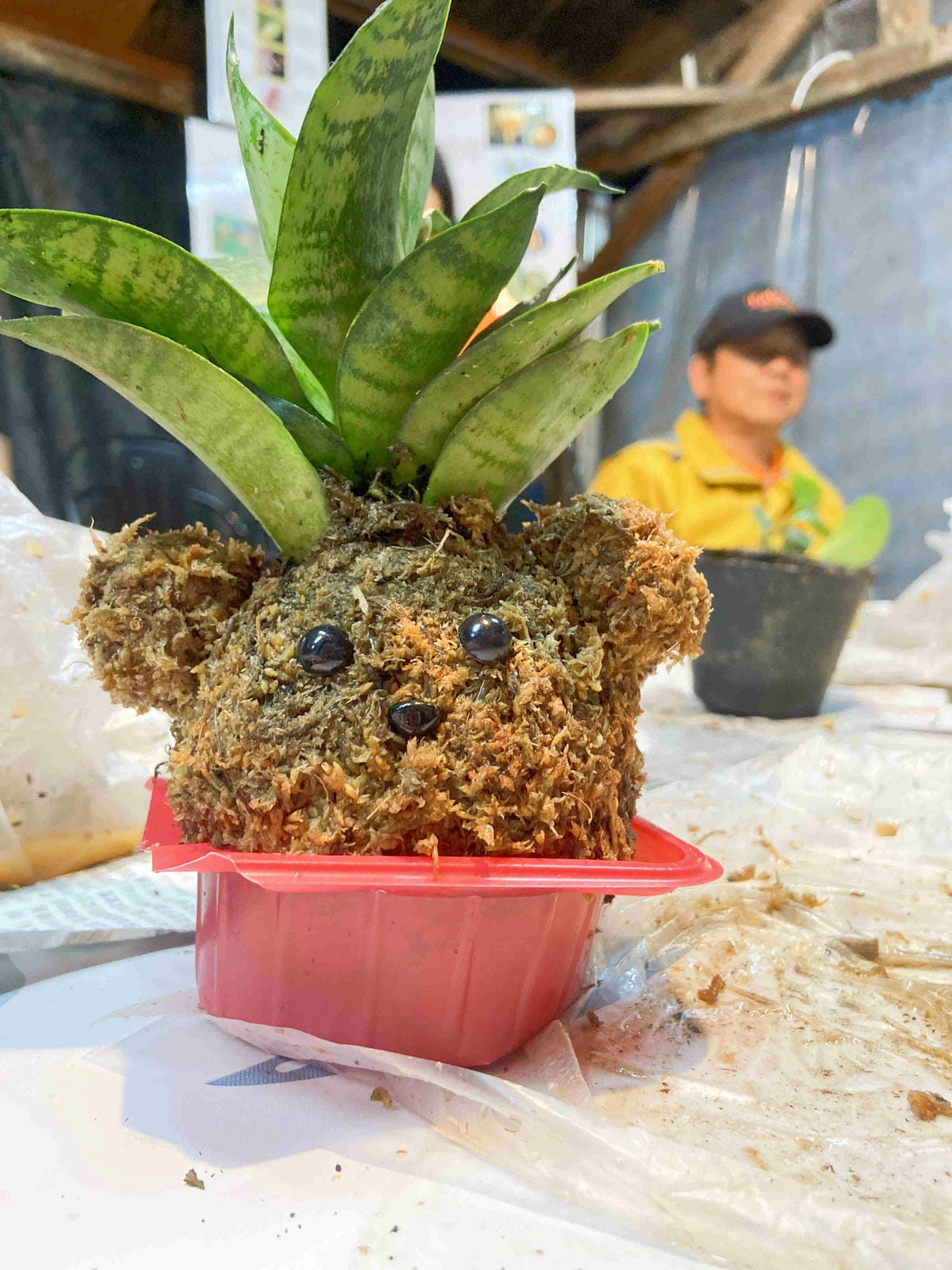 金山萬里溫泉美食之旅野柳汪汪地瓜園 (131).jpg 金山萬里溫泉美食之旅野柳汪汪地瓜園 (131).jpg