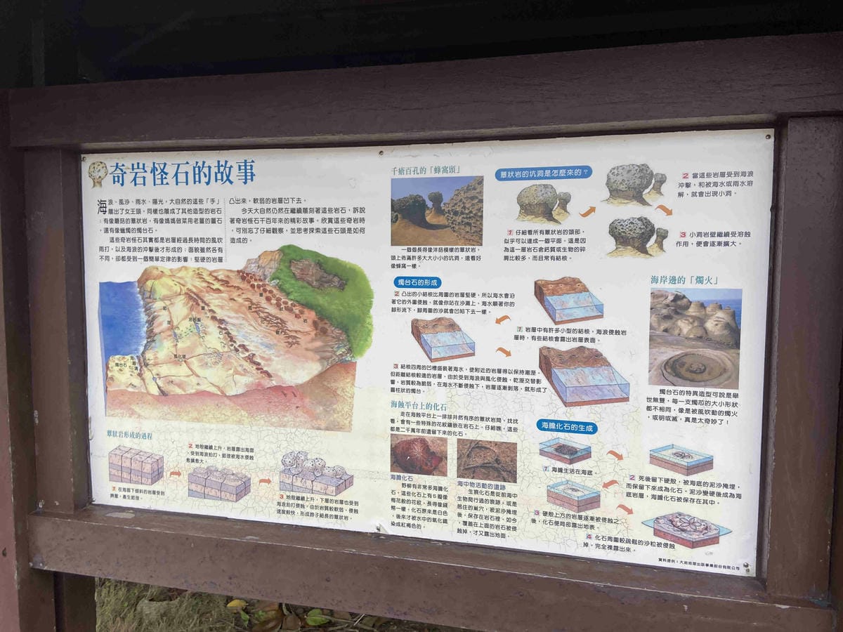 金山萬里溫泉美食之旅野柳汪汪地瓜園 (84).jpg 金山萬里溫泉美食之旅野柳汪汪地瓜園 (84).jpg
