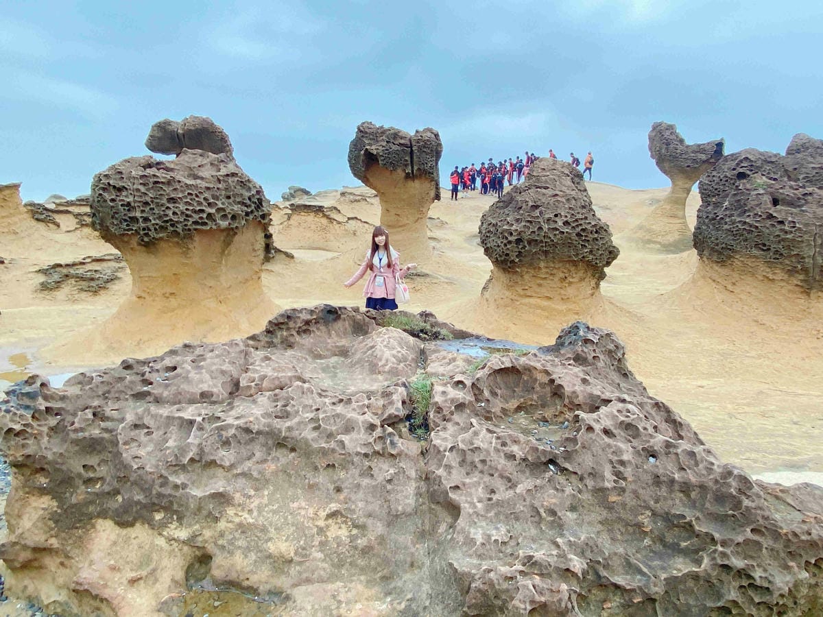 金山萬里溫泉美食之旅野柳汪汪地瓜園 (46).jpg 金山萬里溫泉美食之旅野柳汪汪地瓜園 (46).jpg