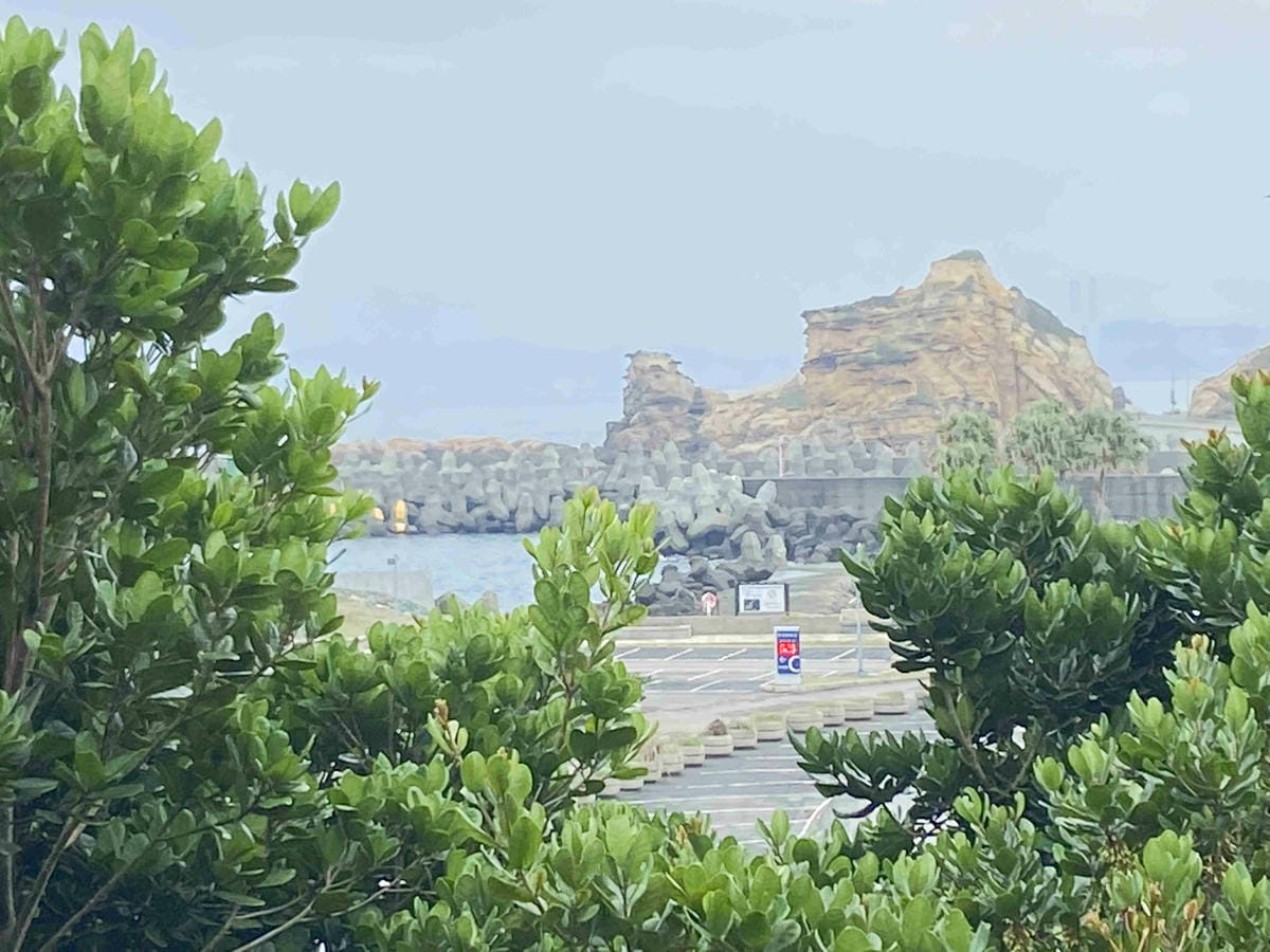 金山萬里溫泉美食之旅野柳汪汪地瓜園 (28).jpg 金山萬里溫泉美食之旅野柳汪汪地瓜園 (28).jpg