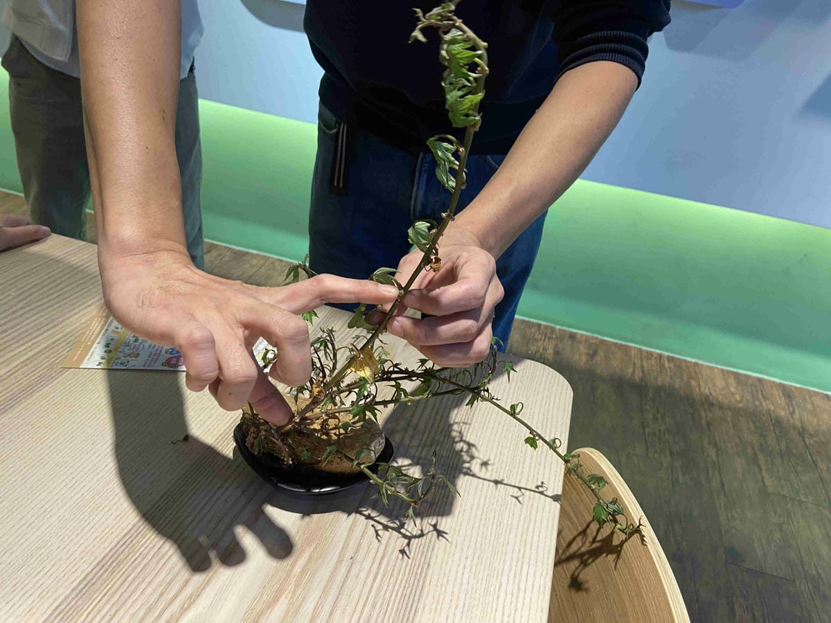 金山萬里溫泉美食之旅野柳汪汪地瓜園 (111).jpg 金山萬里溫泉美食之旅野柳汪汪地瓜園 (111).jpg