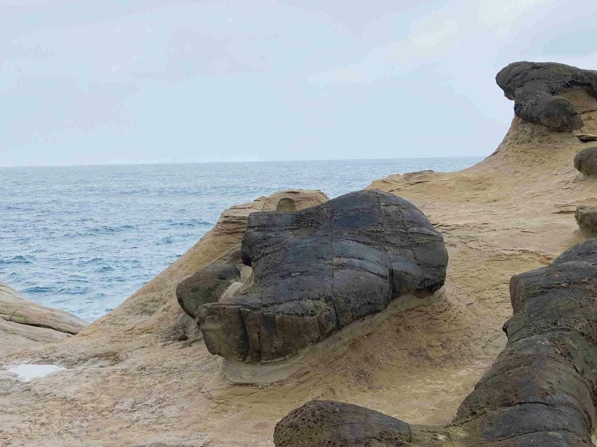 金山萬里溫泉美食之旅野柳汪汪地瓜園 (54).jpg 金山萬里溫泉美食之旅野柳汪汪地瓜園 (54).jpg