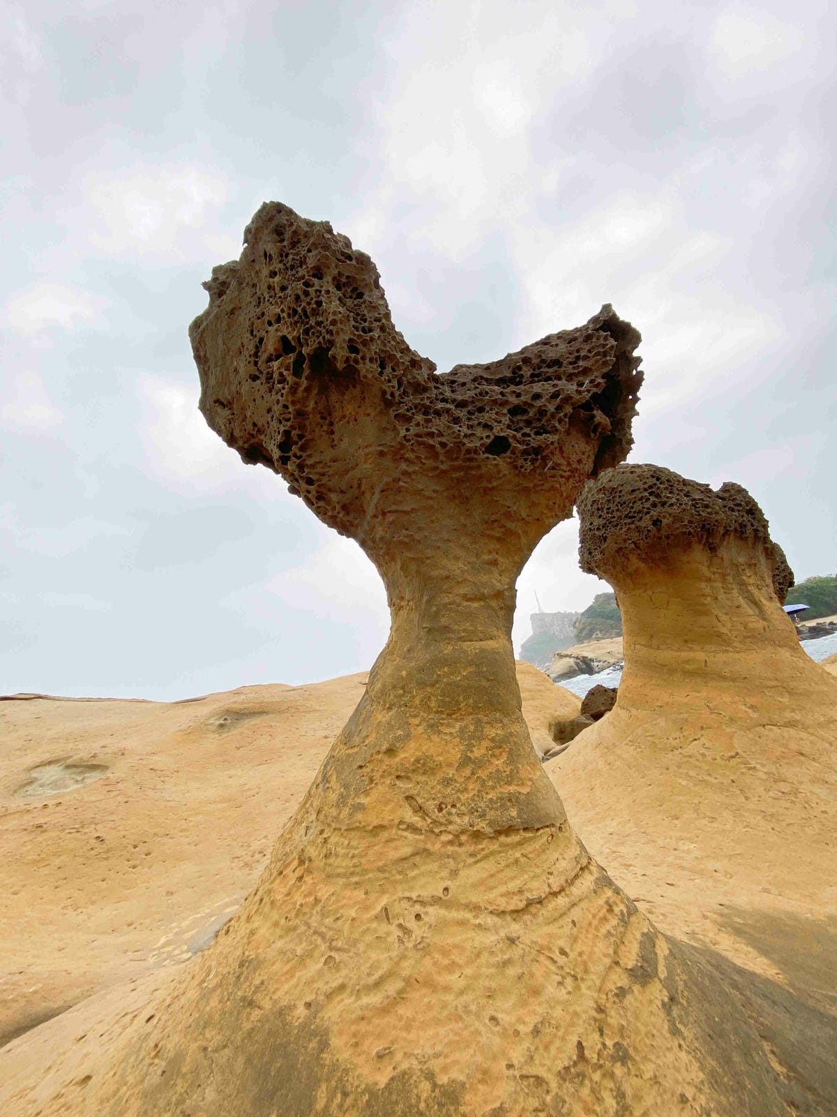金山萬里溫泉美食之旅野柳汪汪地瓜園 (53).jpg 金山萬里溫泉美食之旅野柳汪汪地瓜園 (53).jpg