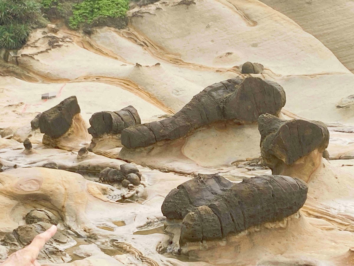 金山萬里溫泉美食之旅野柳汪汪地瓜園 (58).jpg 金山萬里溫泉美食之旅野柳汪汪地瓜園 (58).jpg
