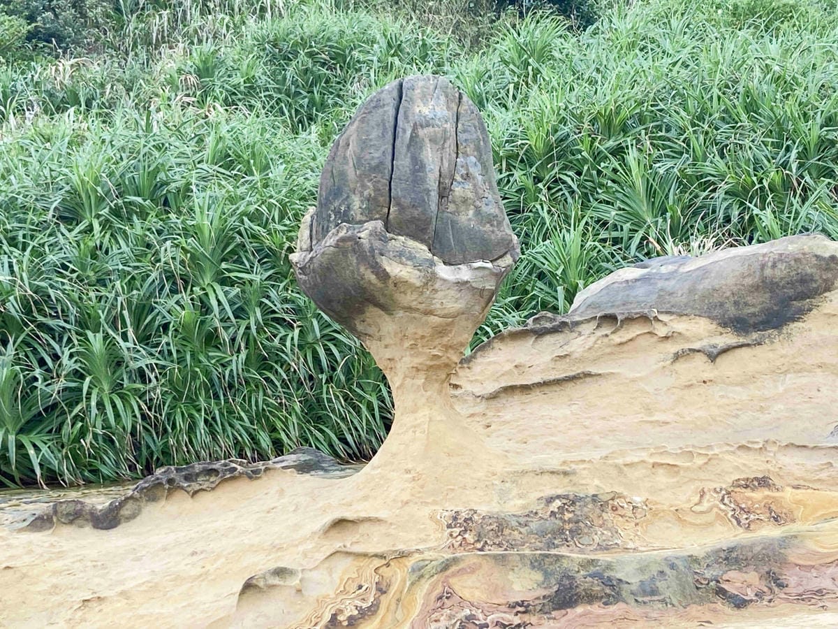 金山萬里溫泉美食之旅野柳汪汪地瓜園 (61).jpg 金山萬里溫泉美食之旅野柳汪汪地瓜園 (61).jpg