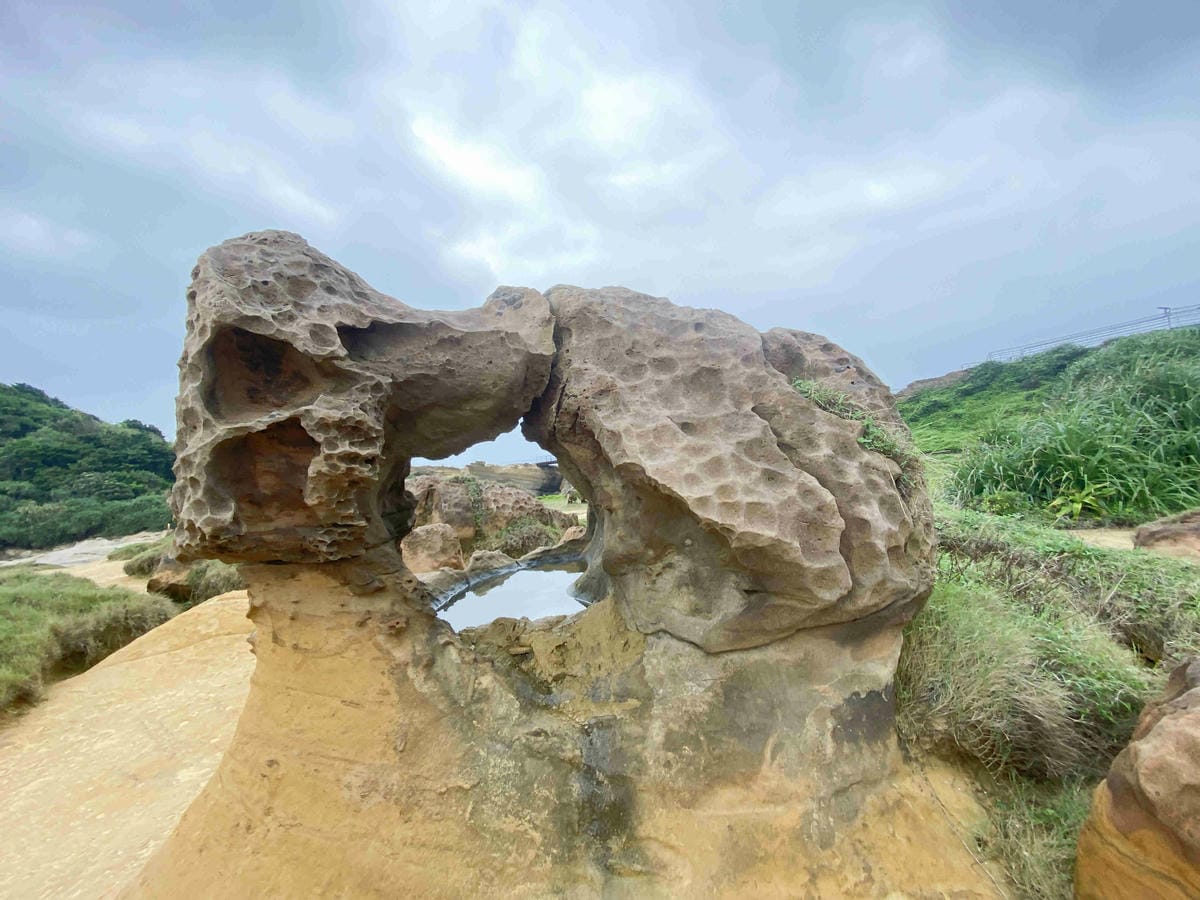 金山萬里溫泉美食之旅野柳汪汪地瓜園 (74).jpg 金山萬里溫泉美食之旅野柳汪汪地瓜園 (74).jpg