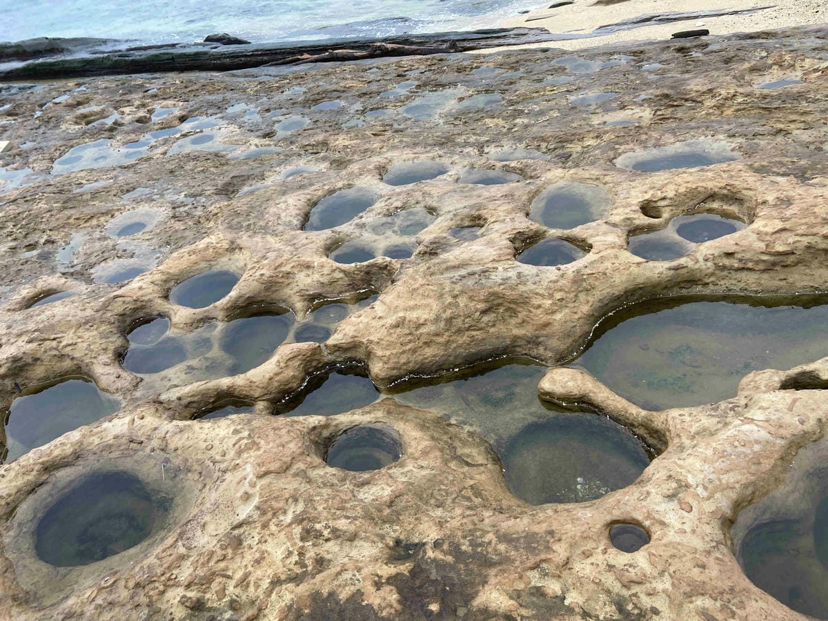 金山萬里溫泉美食之旅野柳汪汪地瓜園 (66).jpg 金山萬里溫泉美食之旅野柳汪汪地瓜園 (66).jpg