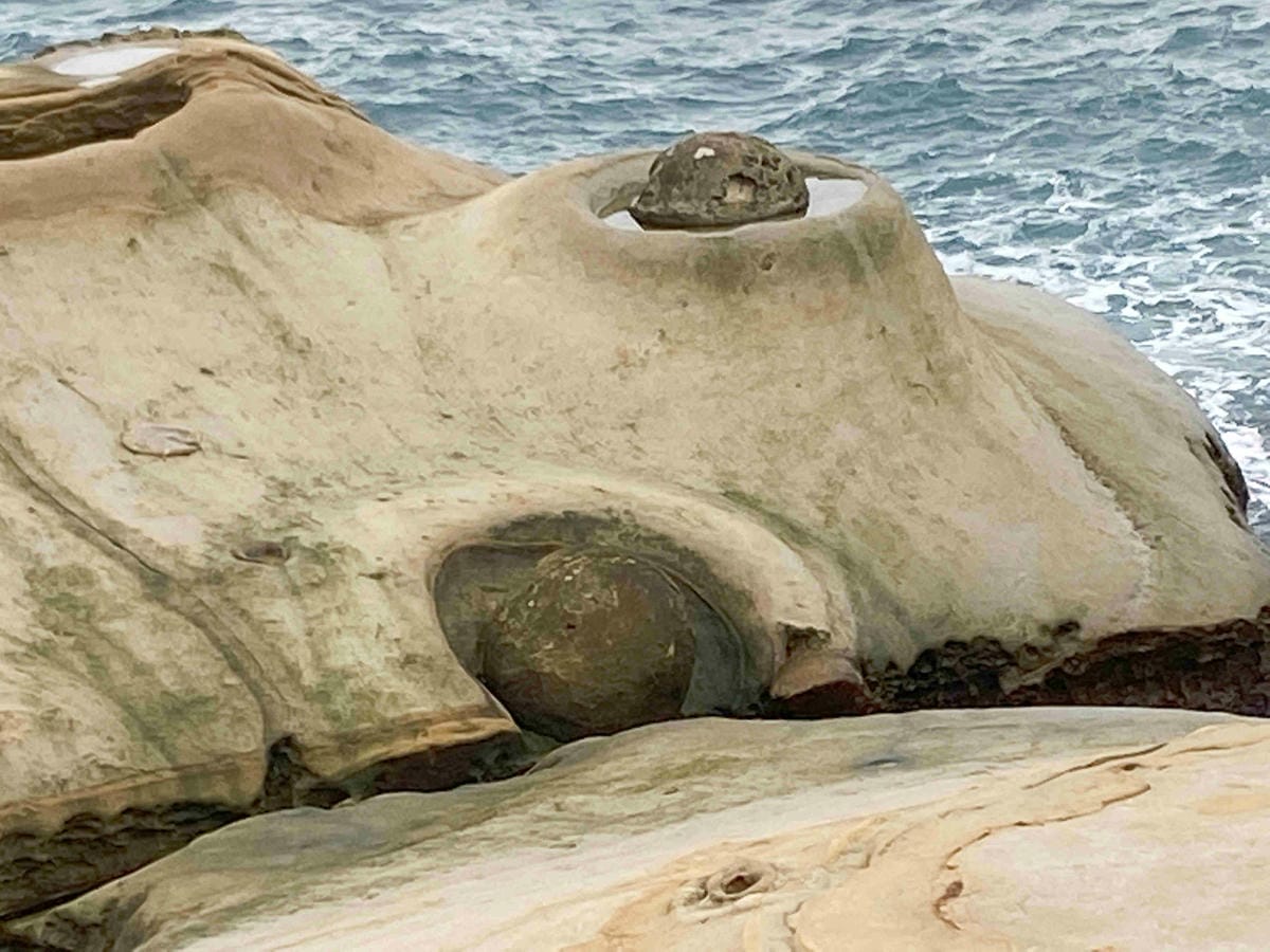 金山萬里溫泉美食之旅野柳汪汪地瓜園 (75).jpg 金山萬里溫泉美食之旅野柳汪汪地瓜園 (75).jpg
