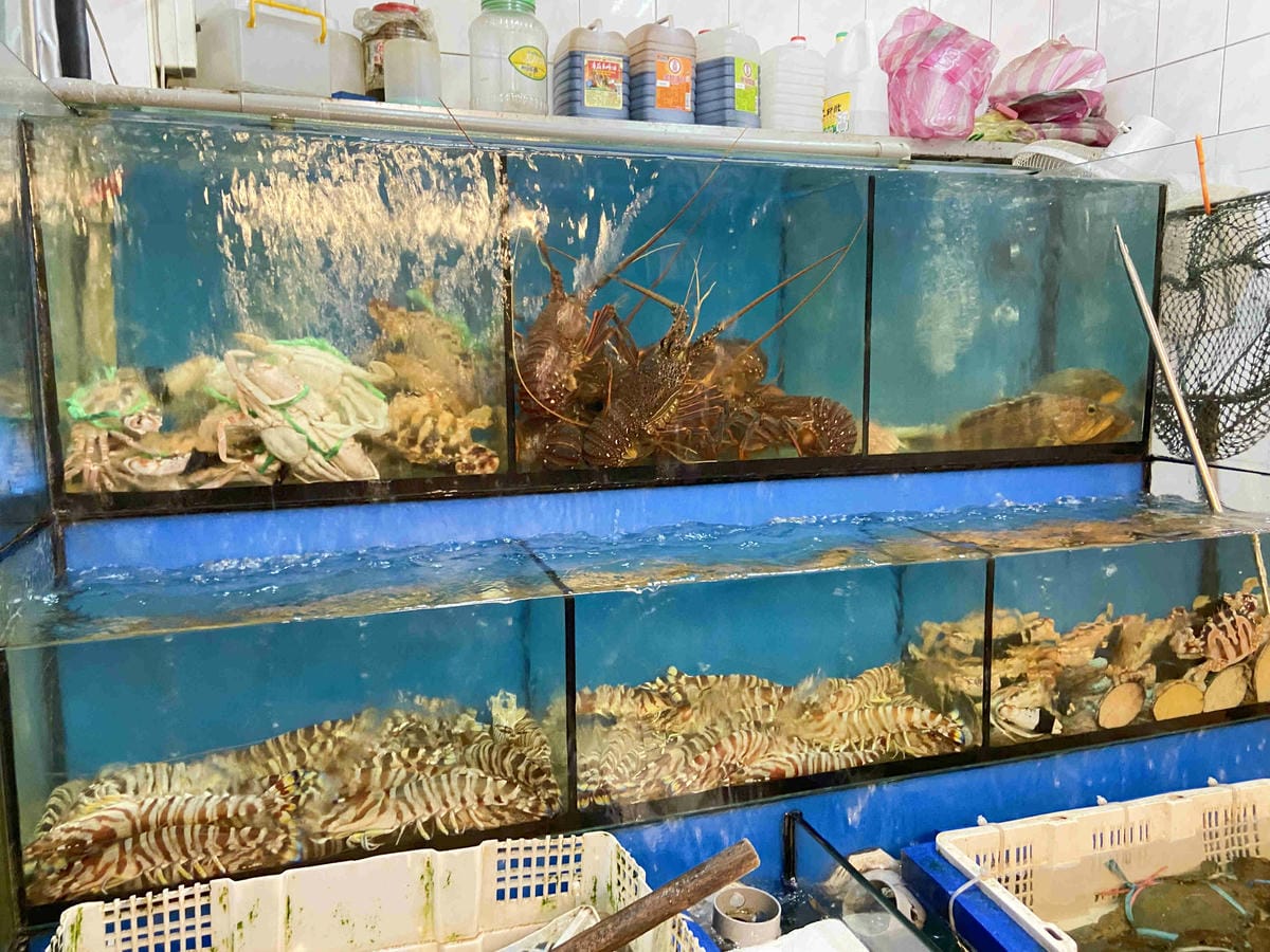 金山萬里溫泉美食之旅野柳汪汪地瓜園 (97).jpg 金山萬里溫泉美食之旅野柳汪汪地瓜園 (97).jpg