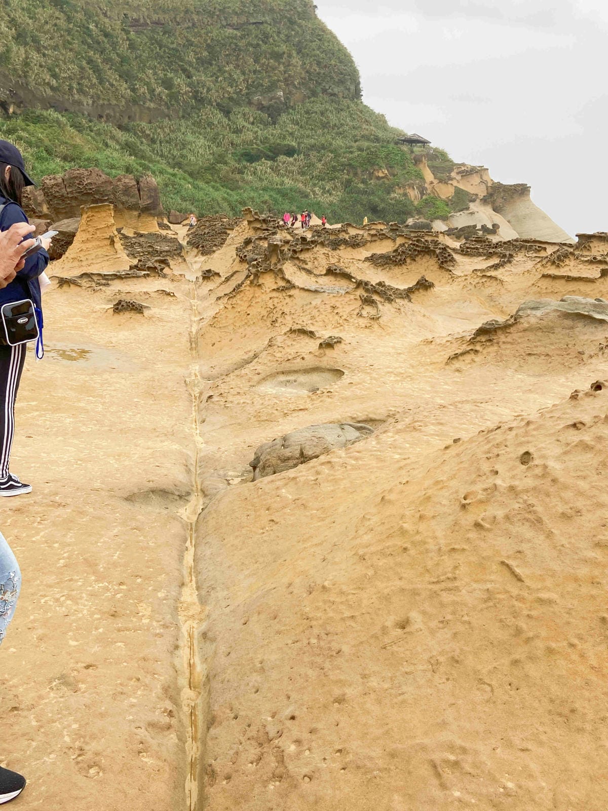 金山萬里溫泉美食之旅野柳汪汪地瓜園 (52).jpg 金山萬里溫泉美食之旅野柳汪汪地瓜園 (52).jpg