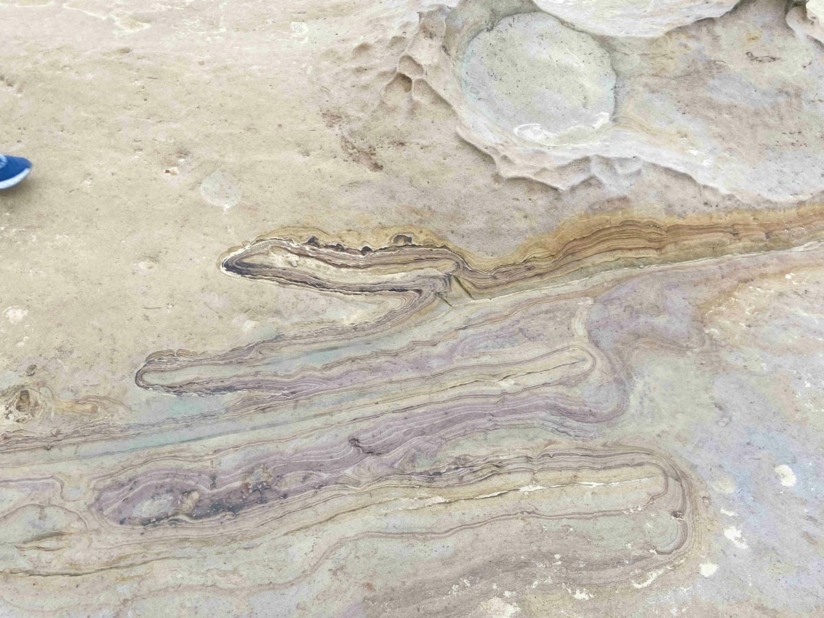 金山萬里溫泉美食之旅野柳汪汪地瓜園 (57).jpg 金山萬里溫泉美食之旅野柳汪汪地瓜園 (57).jpg