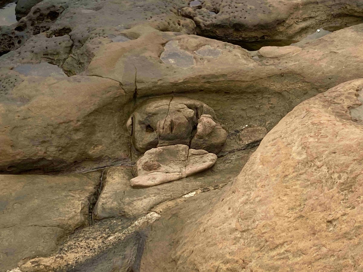 金山萬里溫泉美食之旅野柳汪汪地瓜園 (67).jpg 金山萬里溫泉美食之旅野柳汪汪地瓜園 (67).jpg