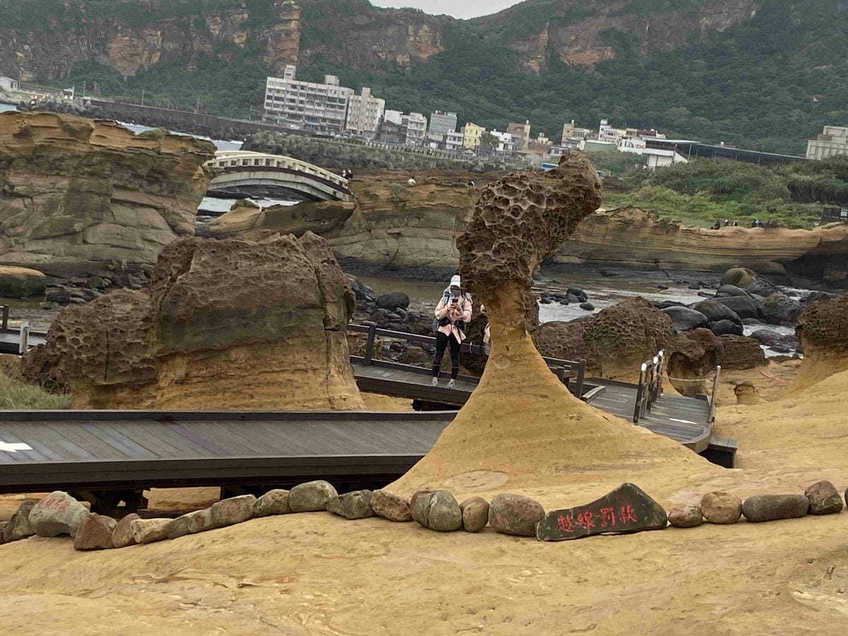 金山萬里溫泉美食之旅野柳汪汪地瓜園 (80).jpg 金山萬里溫泉美食之旅野柳汪汪地瓜園 (80).jpg