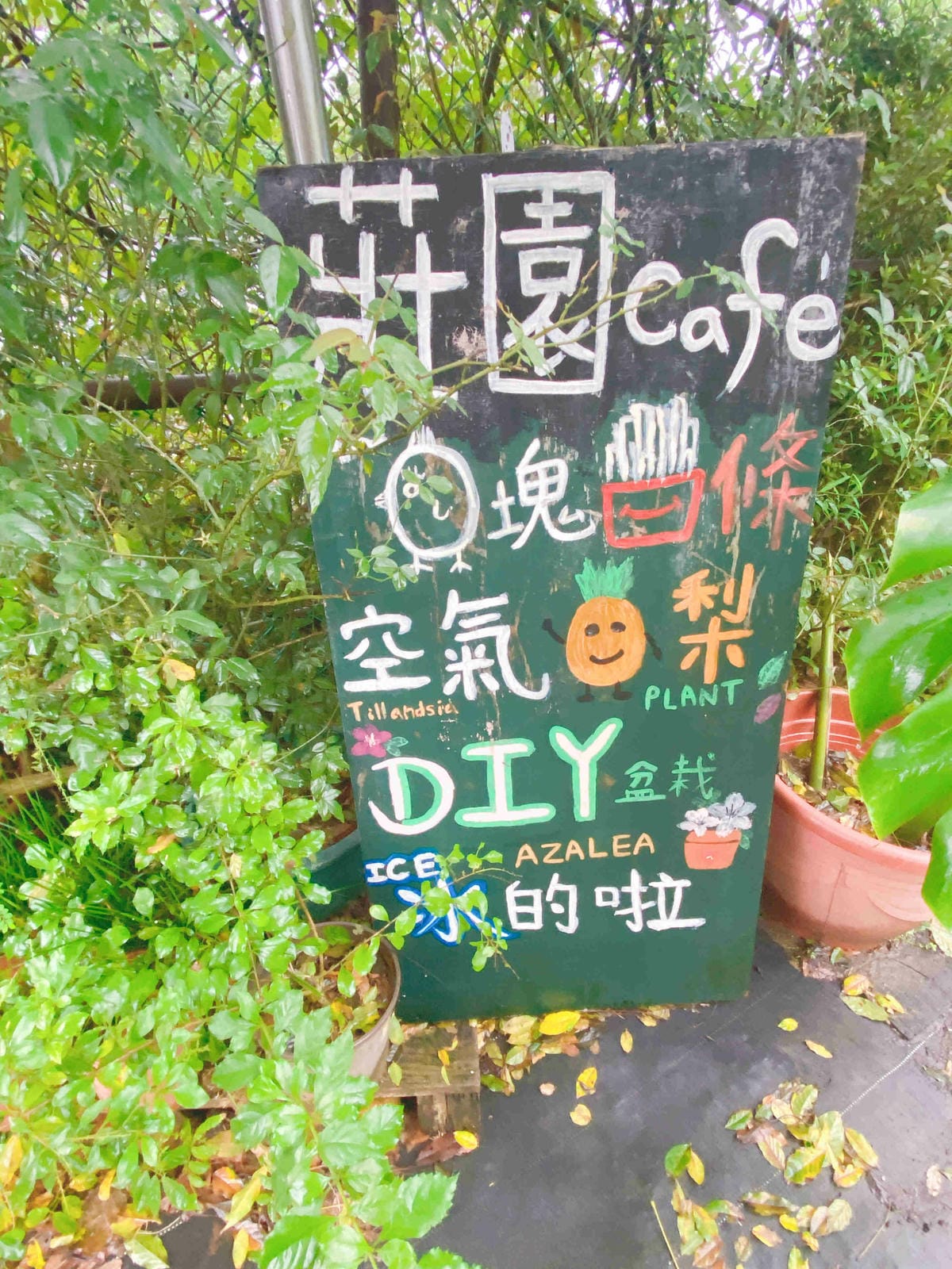 金山萬里溫泉美食之旅野柳汪汪地瓜園 (123).jpg 金山萬里溫泉美食之旅野柳汪汪地瓜園 (123).jpg