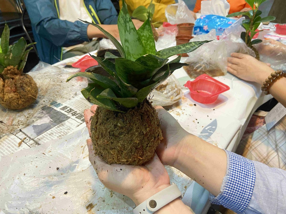 金山萬里溫泉美食之旅野柳汪汪地瓜園 (130).jpg 金山萬里溫泉美食之旅野柳汪汪地瓜園 (130).jpg