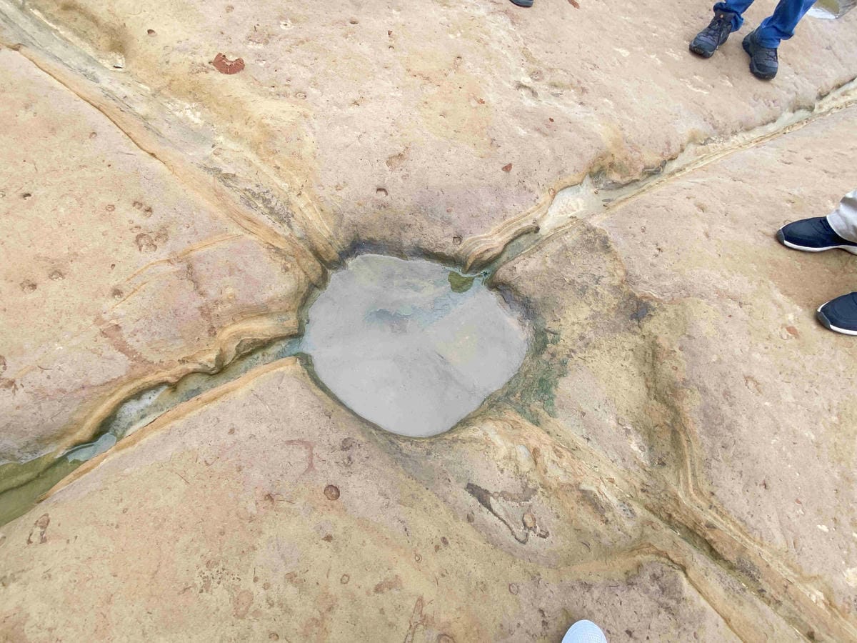 金山萬里溫泉美食之旅野柳汪汪地瓜園 (64).jpg 金山萬里溫泉美食之旅野柳汪汪地瓜園 (64).jpg