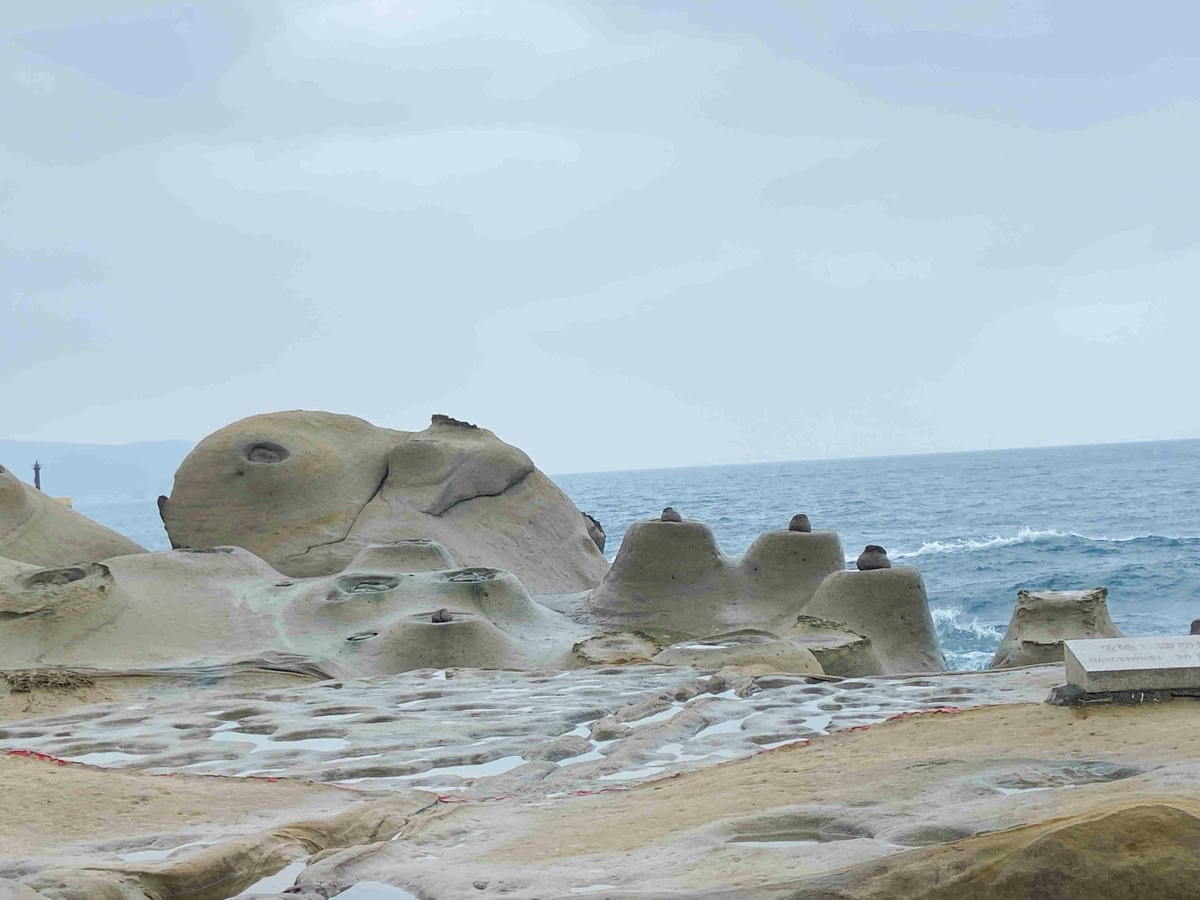 金山萬里溫泉美食之旅野柳汪汪地瓜園 (60).jpg 金山萬里溫泉美食之旅野柳汪汪地瓜園 (60).jpg