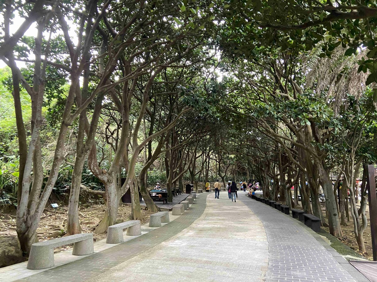 金山萬里溫泉美食之旅野柳汪汪地瓜園 (32).jpg 金山萬里溫泉美食之旅野柳汪汪地瓜園 (32).jpg