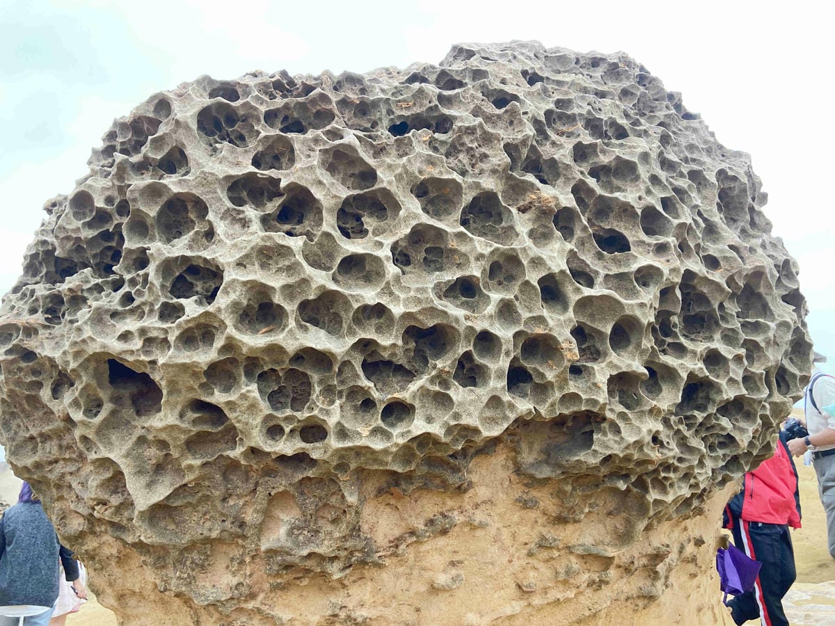 金山萬里溫泉美食之旅野柳汪汪地瓜園 (51).jpg 金山萬里溫泉美食之旅野柳汪汪地瓜園 (51).jpg