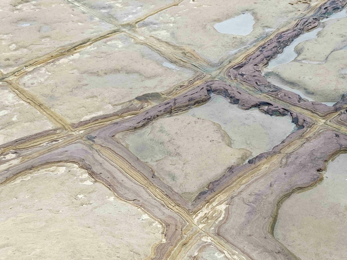 金山萬里溫泉美食之旅野柳汪汪地瓜園 (56).jpg 金山萬里溫泉美食之旅野柳汪汪地瓜園 (56).jpg