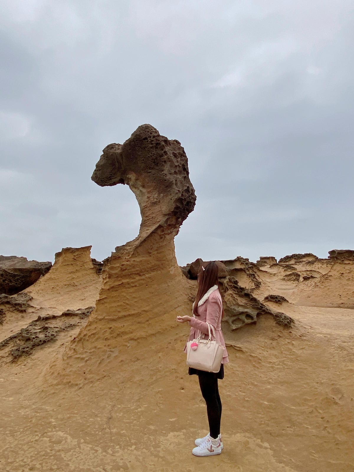金山萬里溫泉美食之旅野柳汪汪地瓜園 (47).JPG 金山萬里溫泉美食之旅野柳汪汪地瓜園 (47).JPG