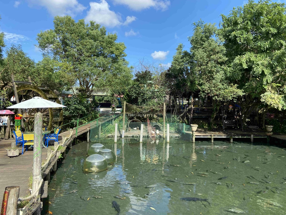 廣興農場 (35).jpg 廣興農場 (35).jpg