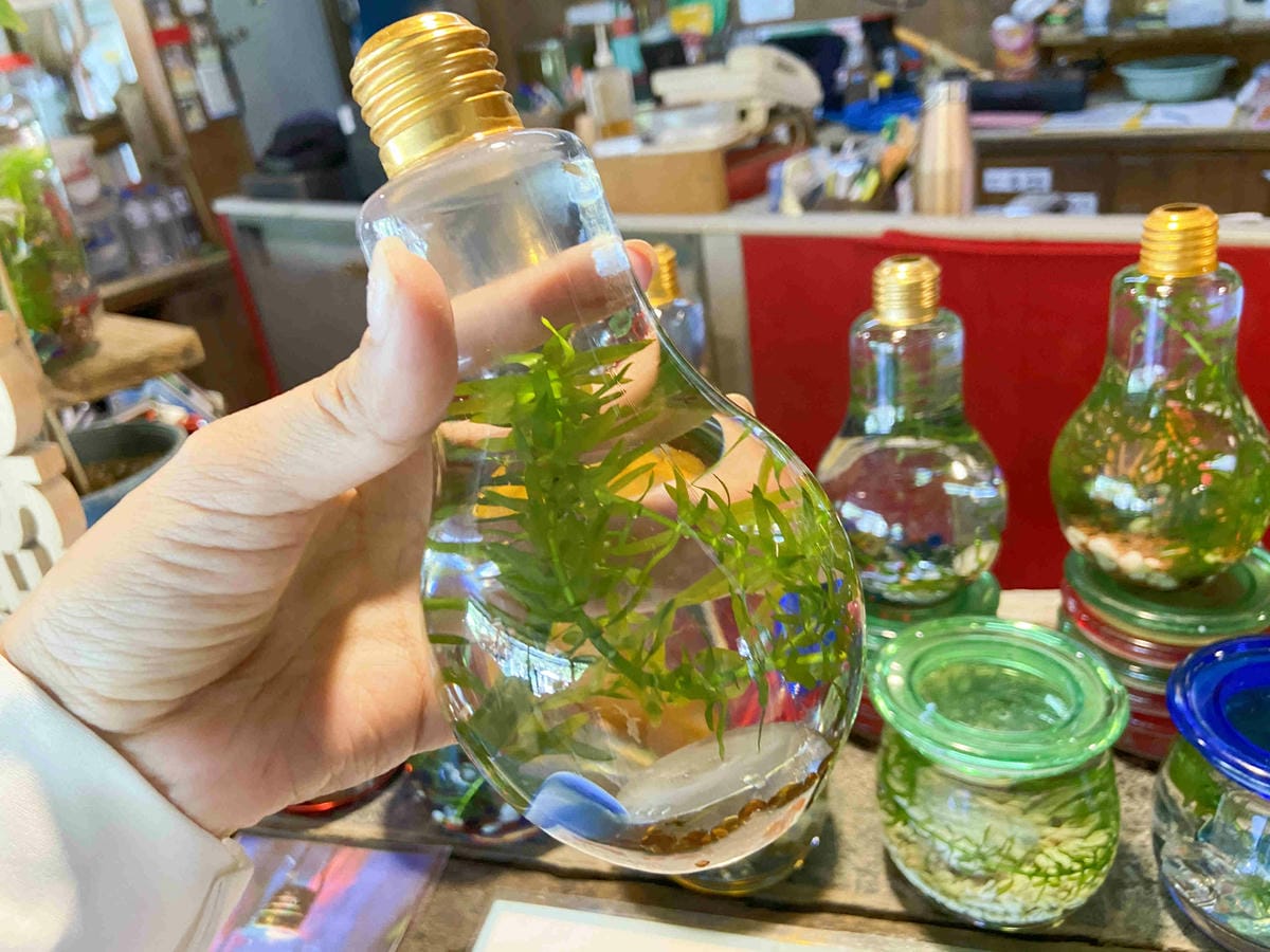 廣興農場 (30).jpg 廣興農場 (30).jpg