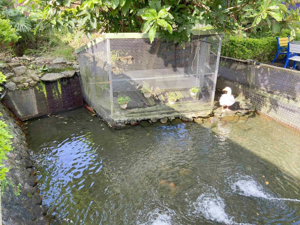 廣興農場 (36).jpg 廣興農場 (36).jpg