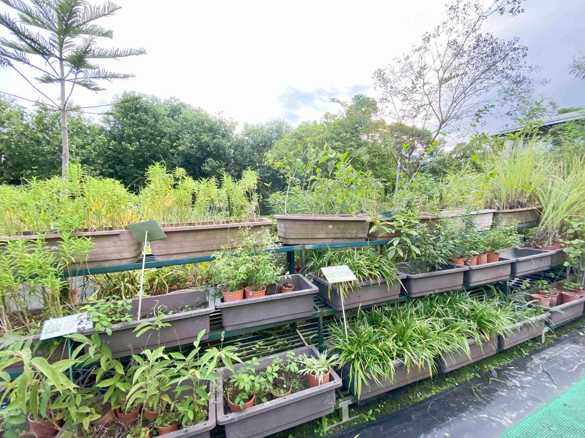 大安藥園 (25).jpg 大安藥園 (25).jpg