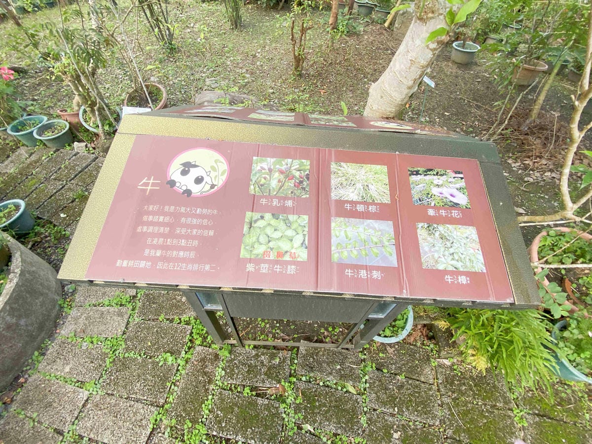 大安藥園 (24).jpg 大安藥園 (24).jpg