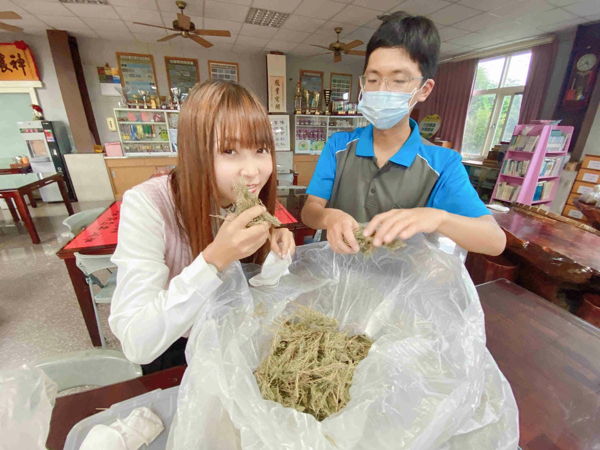 大安藥園 (45).jpg 大安藥園 (45).jpg