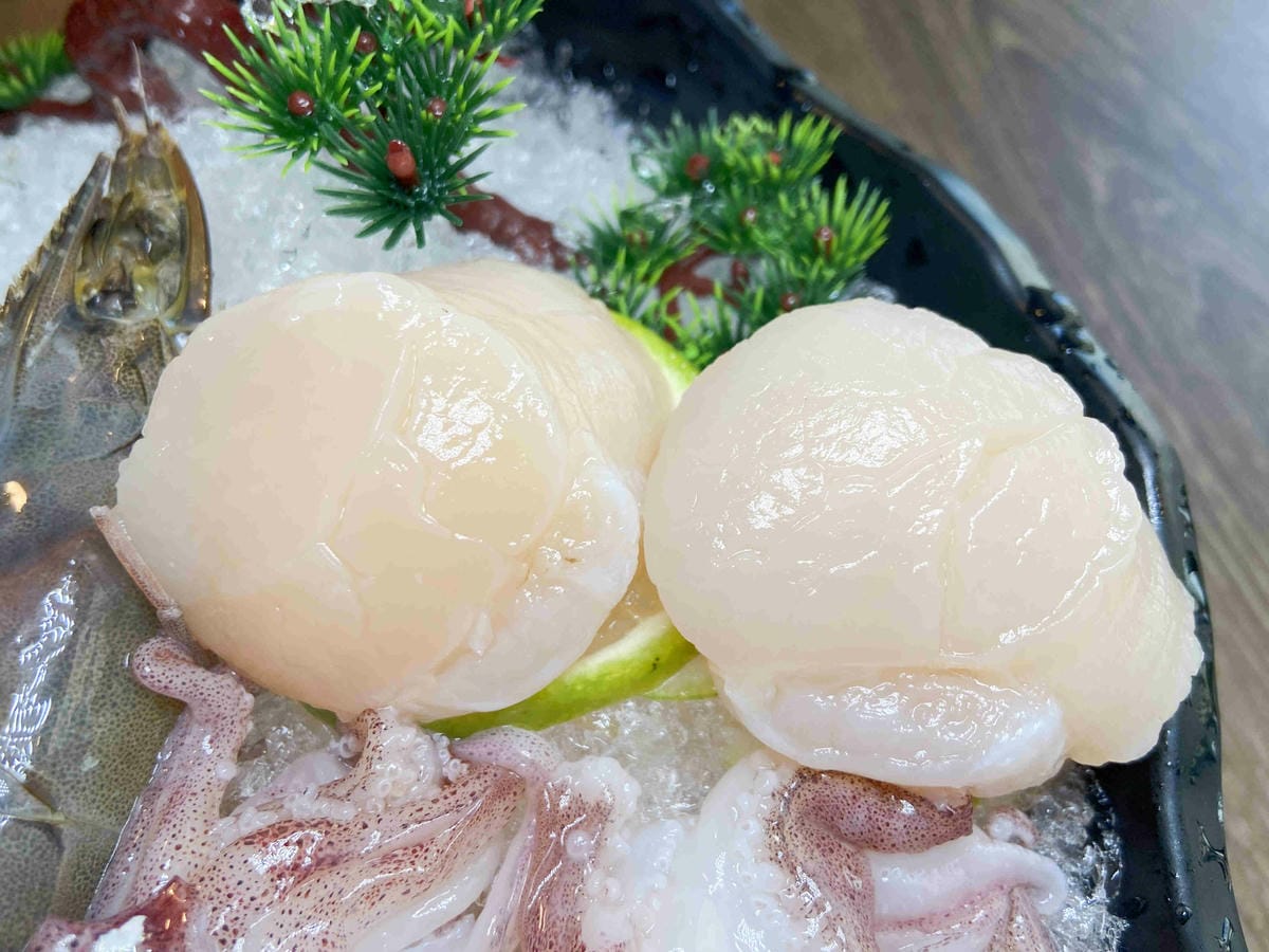 菇神 (25).jpg 菇神 (25).jpg