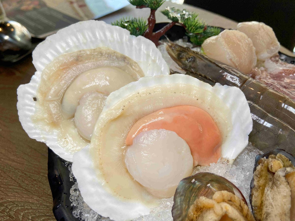 菇神 (29).jpg 菇神 (29).jpg