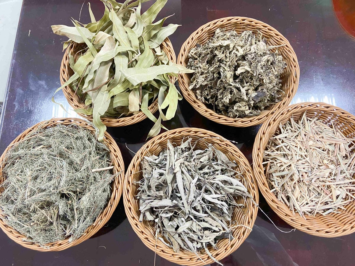 大安藥園 (36).jpg 大安藥園 (36).jpg