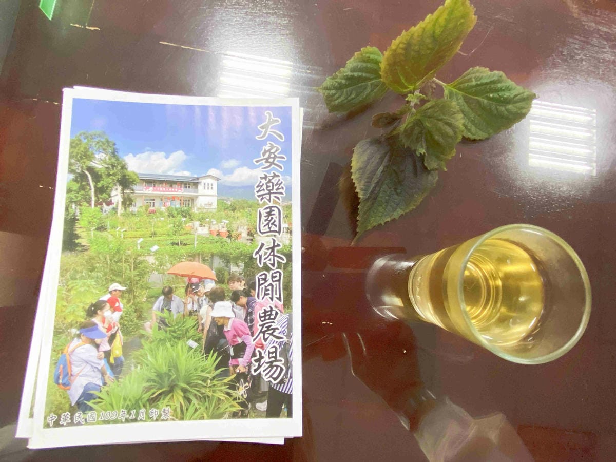 大安藥園 (29).jpg 大安藥園 (29).jpg