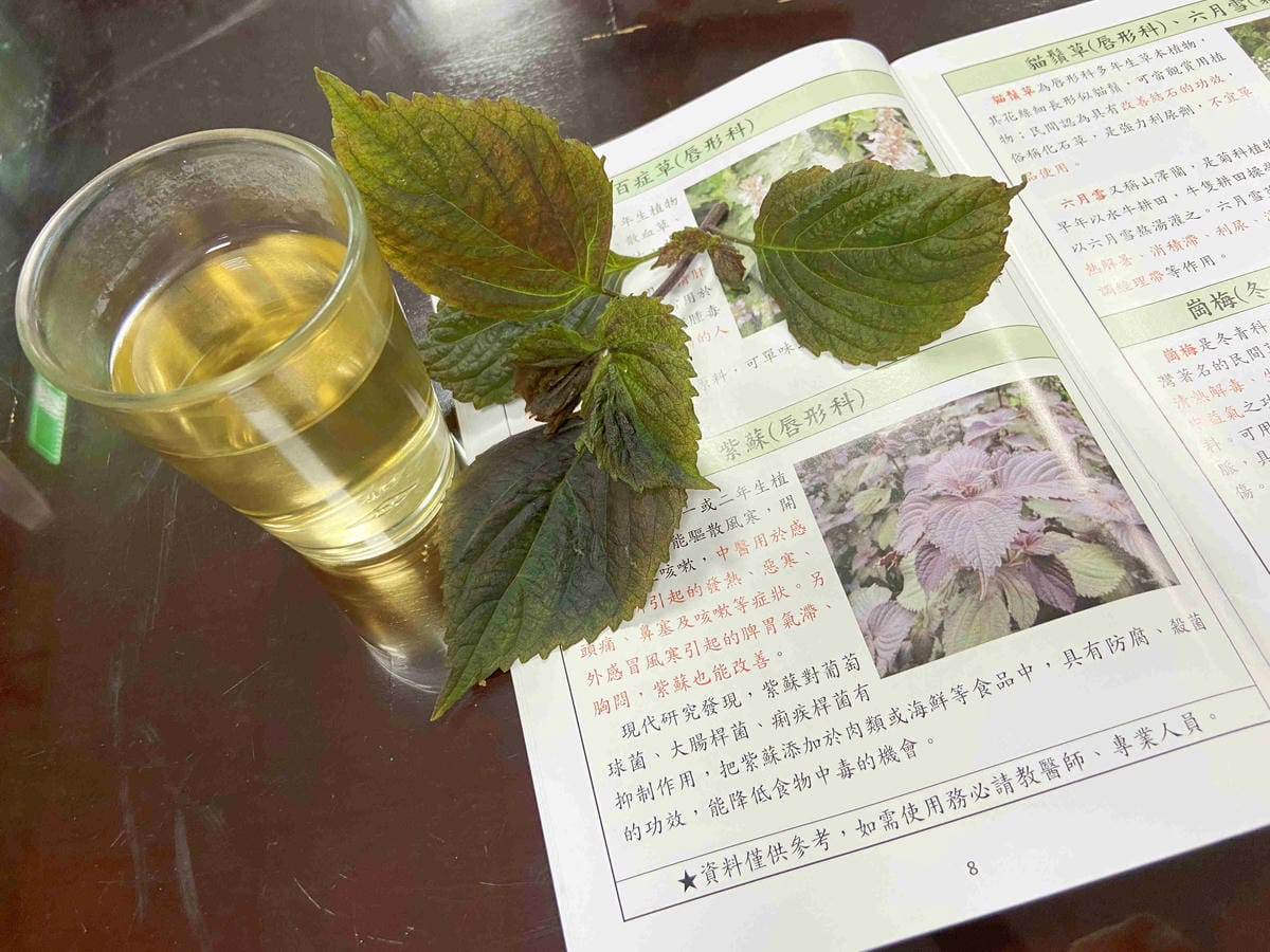 大安藥園 (31).jpg 大安藥園 (31).jpg