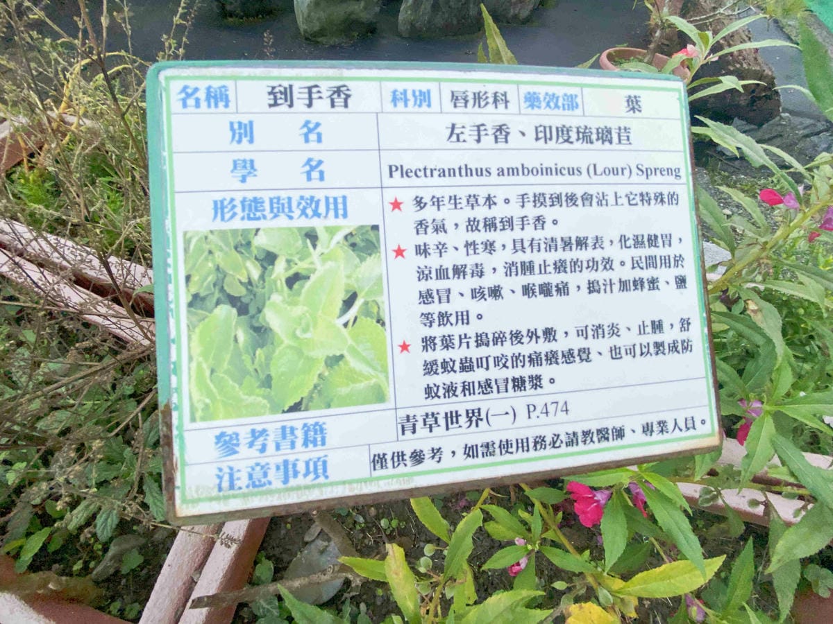 大安藥園 (20).jpg 大安藥園 (20).jpg