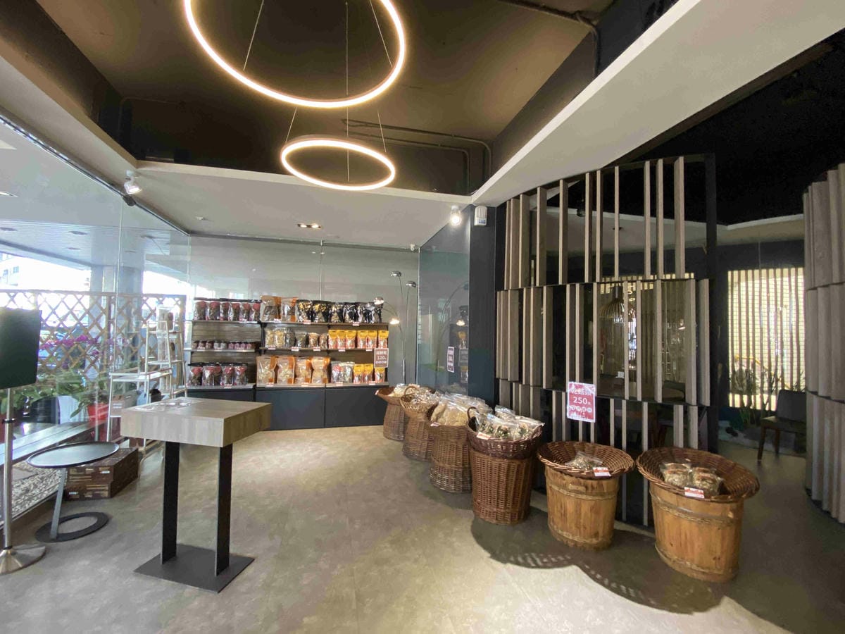 菇神 (3).jpg 菇神 (3).jpg