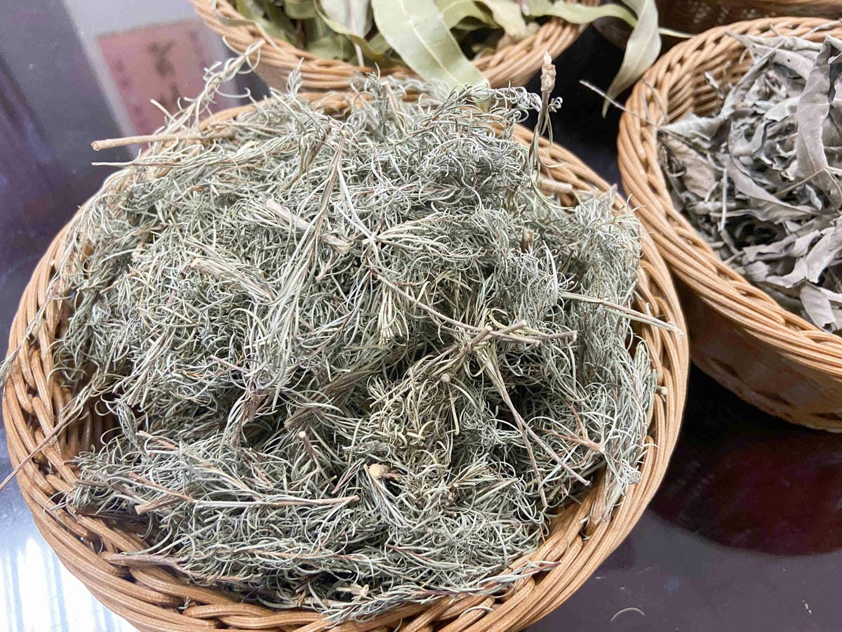 大安藥園 (37).jpg 大安藥園 (37).jpg