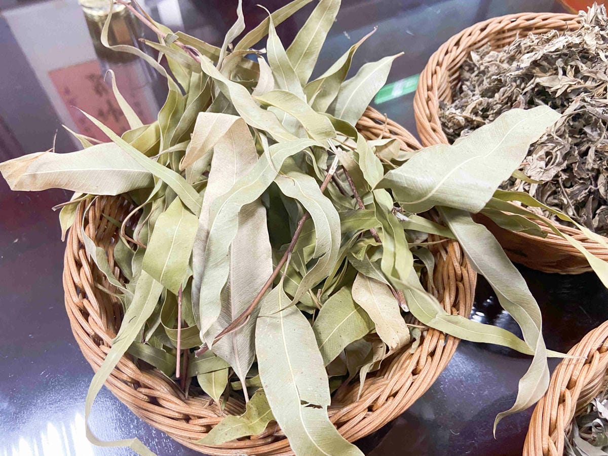 大安藥園 (41).jpg 大安藥園 (41).jpg