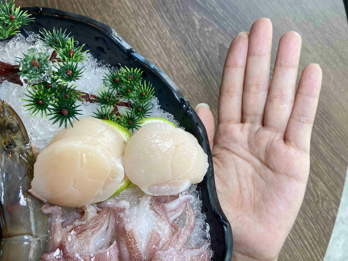 菇神 (31).jpg 菇神 (31).jpg