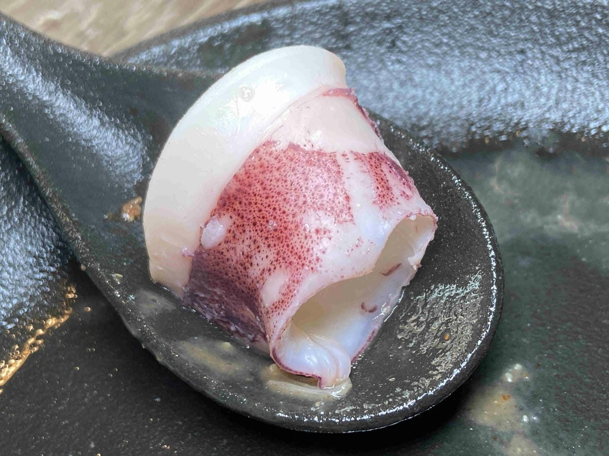 菇神 (47).jpg 菇神 (47).jpg