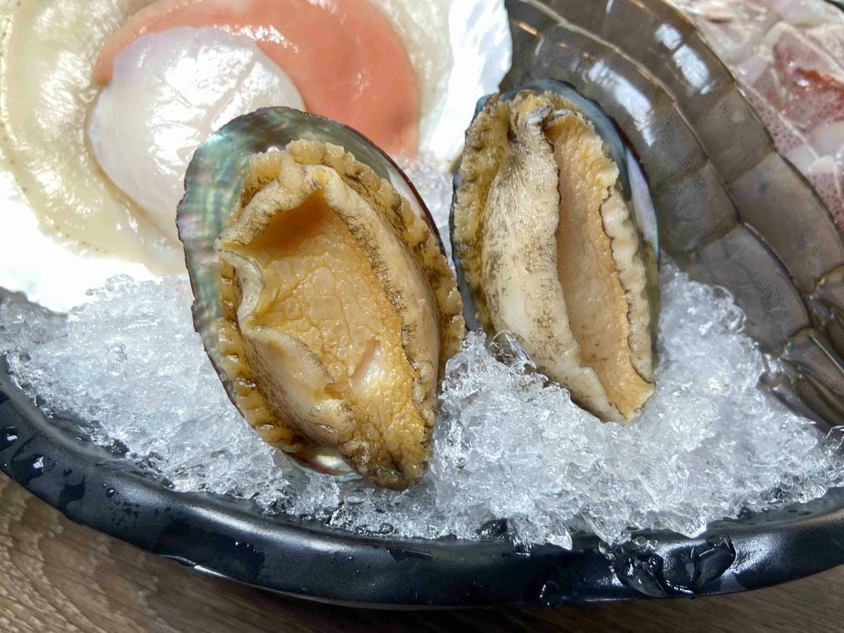 菇神 (28).jpg 菇神 (28).jpg