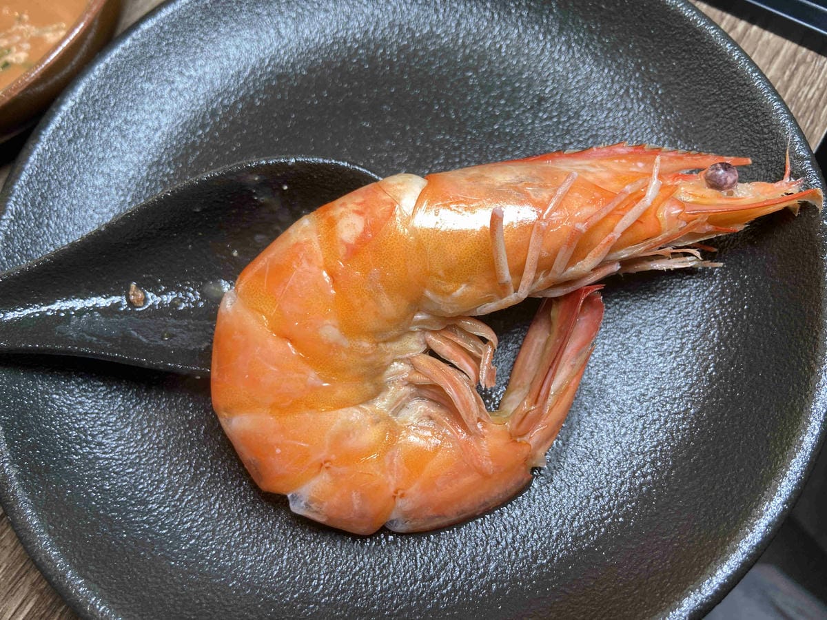 菇神 (48).jpg 菇神 (48).jpg