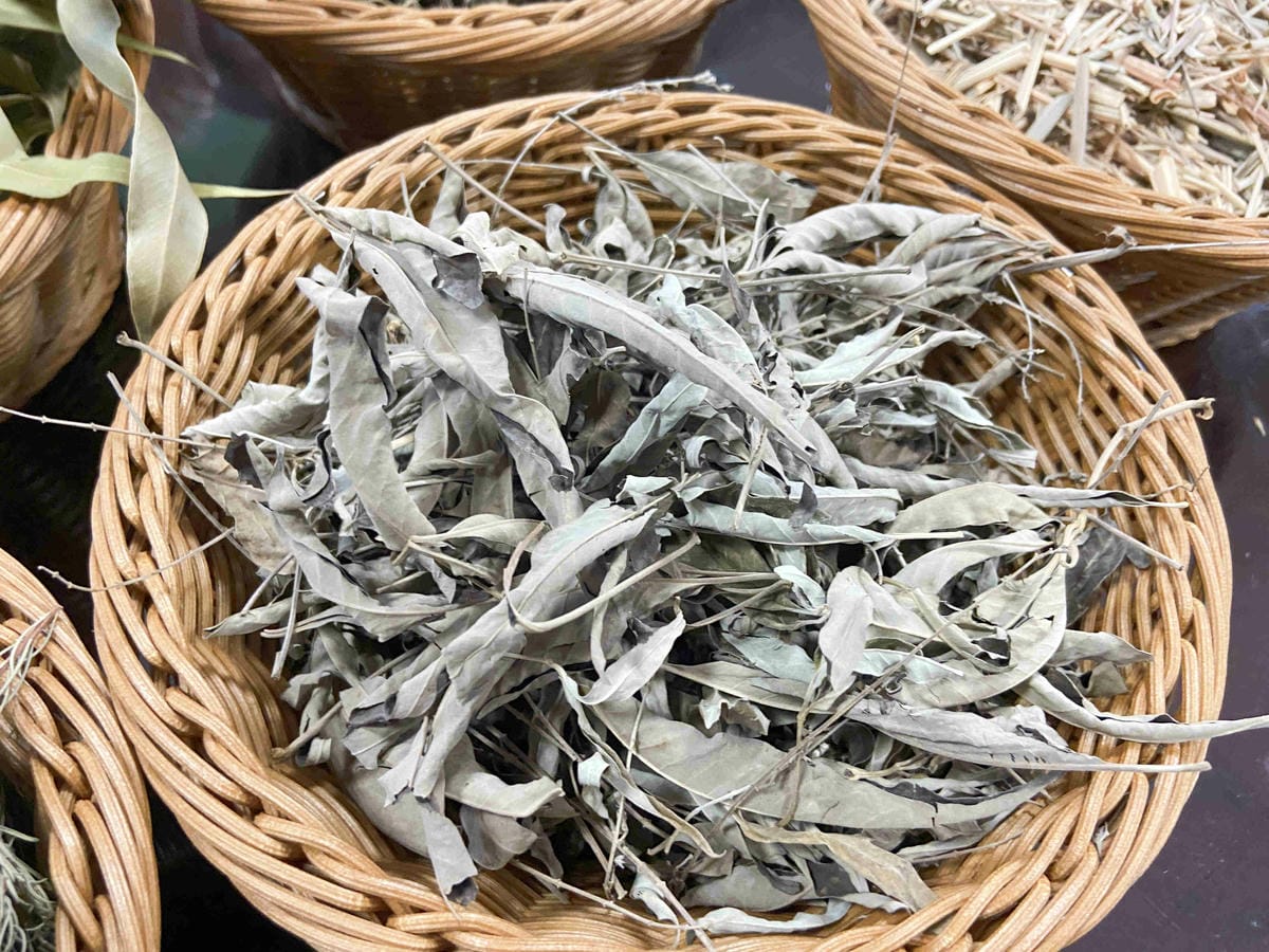 大安藥園 (38).jpg 大安藥園 (38).jpg