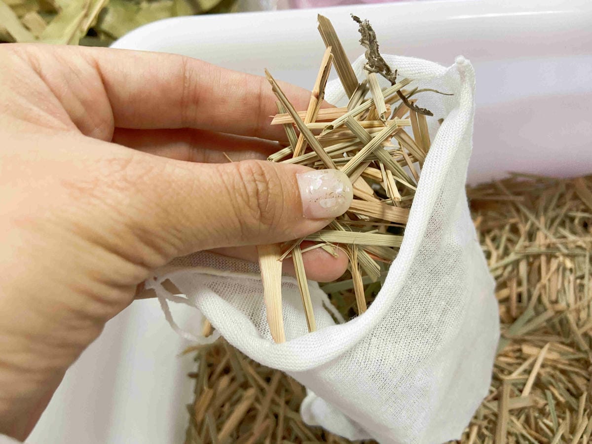 大安藥園 (1).jpg 大安藥園 (1).jpg