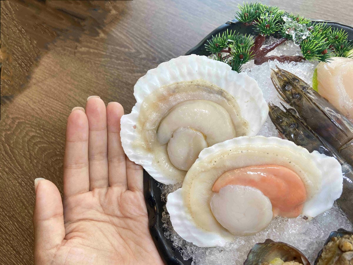 菇神 (30).jpg 菇神 (30).jpg