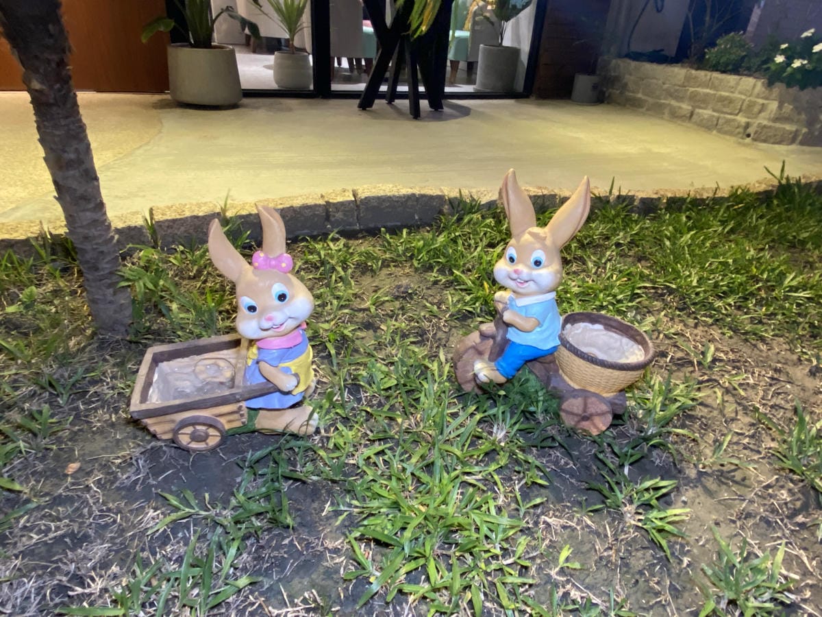 IMG_8482.JPG IMG_8482.JPG